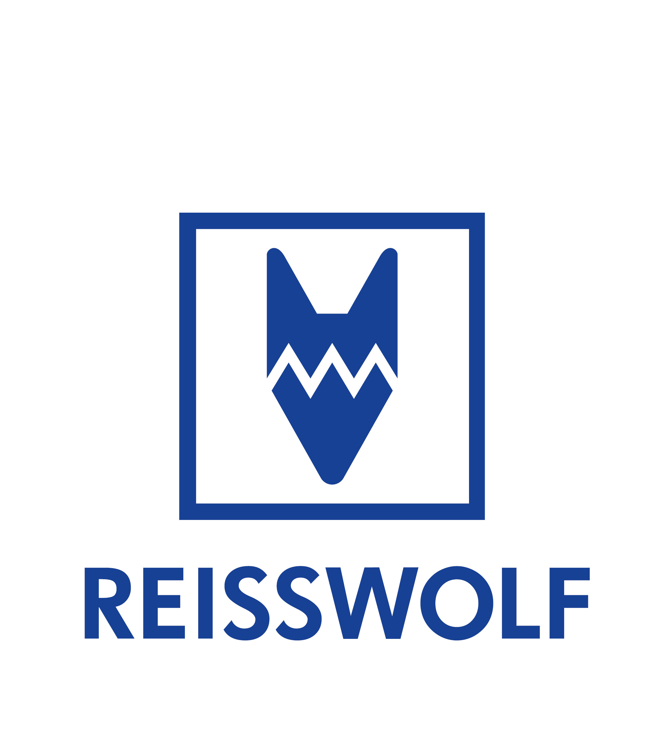 Logo: REISSWOLF E-learning-Plattform